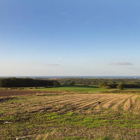 Mortar Barn * Stainsacre